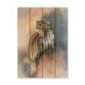 Wile E. Wood 14 x 20 in. Bartholets Grey Squirrel Wood Art DBGS-1420